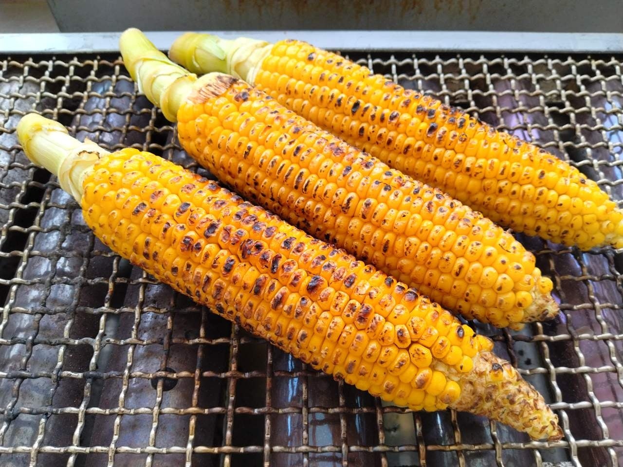 とうもろこし巨大迷路、水鉄砲サバイバル、 ソフトショップ夏の新メニューも!暑い夏を遊びつくすお楽しみ5選