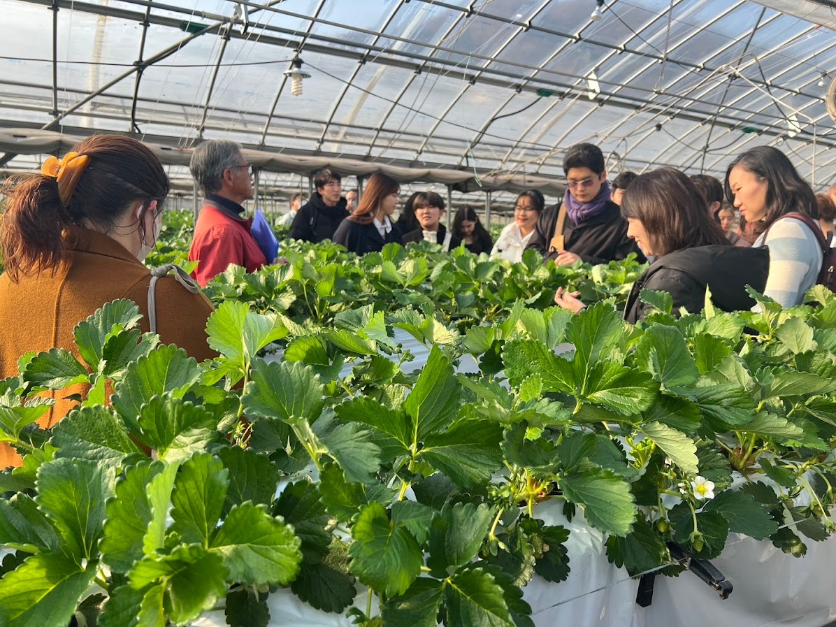 【フレッズカフェ】兵庫県立大学・株式会社ＮＯＵＥＮとフードロス問題を考える。廃棄されてしまう兵庫県産い...