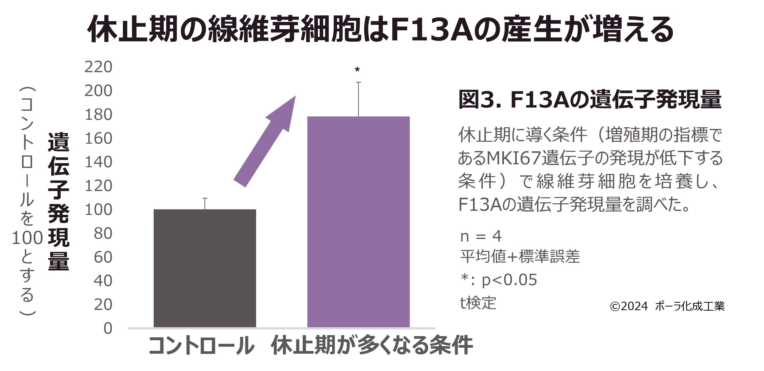 細胞増殖休止期のタンパク質が線維芽細胞を活性化することを発見