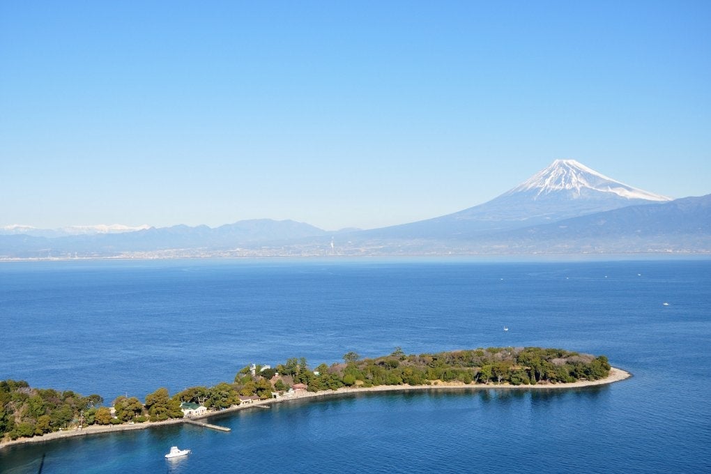 【千鳥観光汽船】沼津港と大瀬崎を船で結ぶ定期クルーズ船を夏休みシーズンに合わせ7/20～８/25まで運航しま...