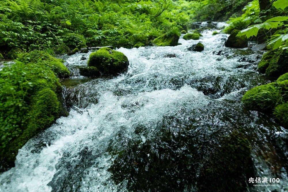 【2024/8/28（水）～29（木）】登山道整備体験イベント「奥信濃トレイル保全ワークショップ」＠カヤの平高原...