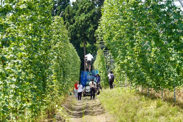 増加する国内外個人客に「未だ知らない山形の魅力」の発信強化　
「#山形未知体験」プロジェクト6月22日より本格始動！