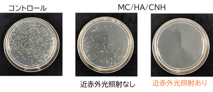 図2. A.a菌培養後の寒天培地。MC/HA/CNH混合なし（コントロール）と比較してMC/HA/CNH混合後は細菌のコロニーは減少し、さらに近赤外光照射するとコロニーは観察されなくなった。
