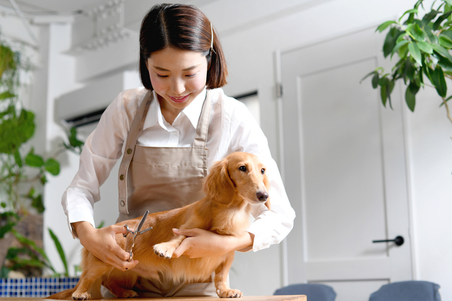 愛犬と一緒に楽しむ新しいワイン体験が神楽坂に登場！〜「神楽坂ワインスタンド et du vin（エデュヴァン）」...