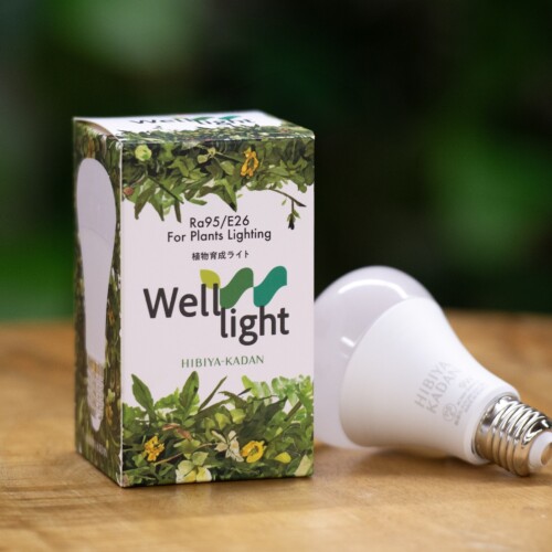 ～植物に、人に優しい ヒカリ～
植物育成LEDライト「Well-light（ウェルライト）」
6月17日（月）から日比谷花壇の店頭で販売開始
