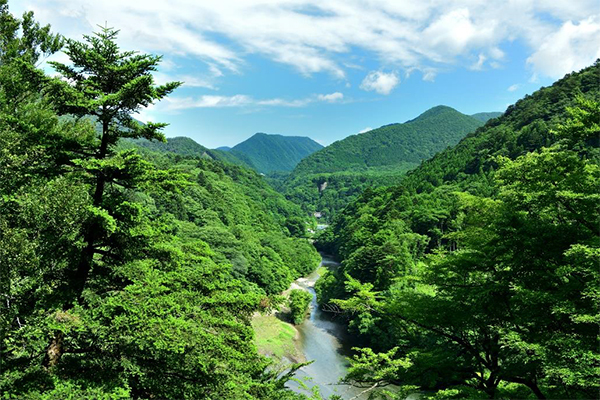 日本の避暑地ランキング！
～2位「富良野」を抑え1位に輝いたのは？ 
阪急交通社が公開～