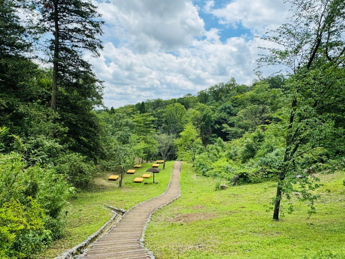 さくらの道（平山城址公園）