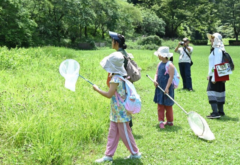 小峰公園で「夏のチョウをさがそう！」7月20日(土)開催！