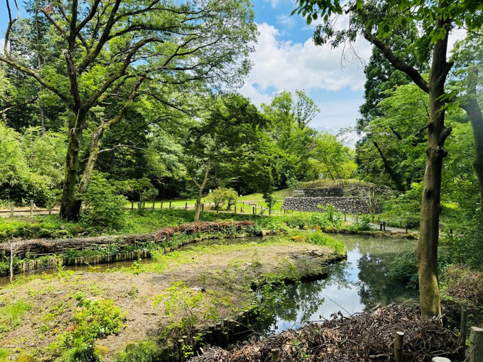 猿渡の池（平山城址公園）