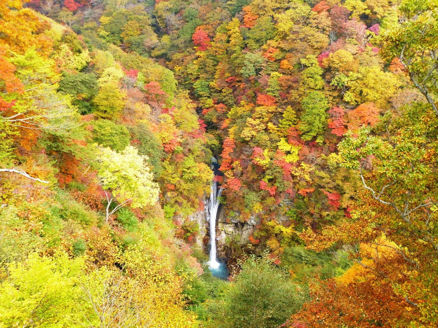 【JAF栃木】八溝山周辺地域を巡るドライブスタンプラリーに協力します