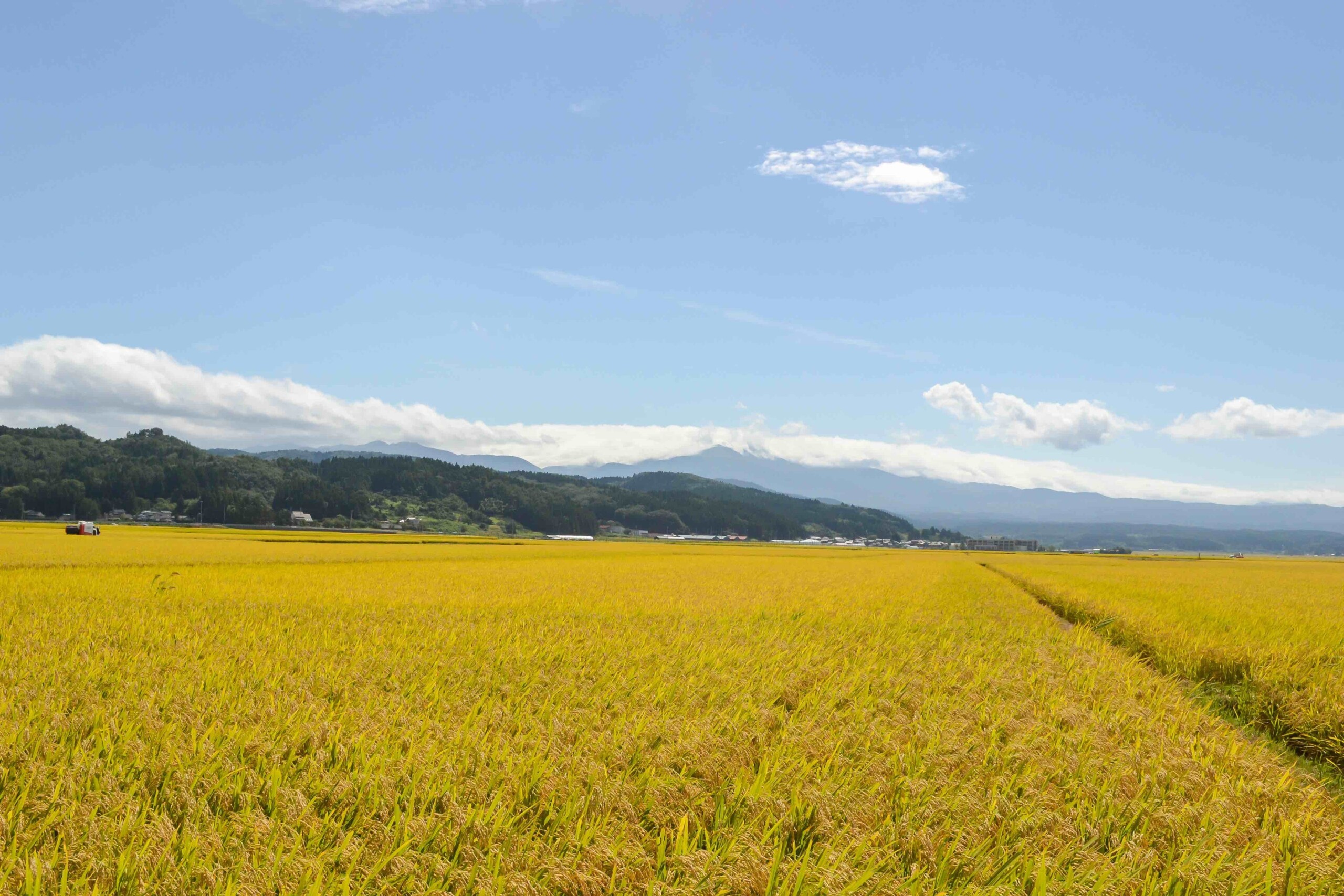 山形県庄内地方（出羽庄内）に特化したオーダーメイドツアー事業を欧米豪の富裕層旅行者をターゲットに拡大！