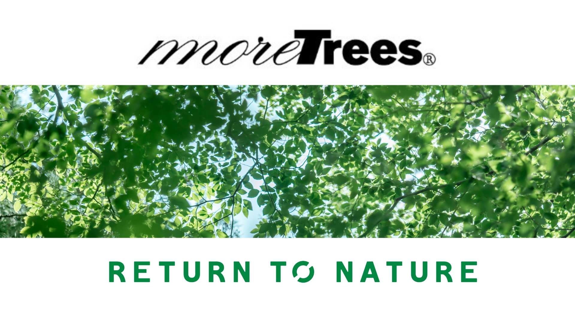 循環葬®︎「RETURN TO NATURE」が森林保全団体「more trees」を通して日本全国の森を育む活動をスタート