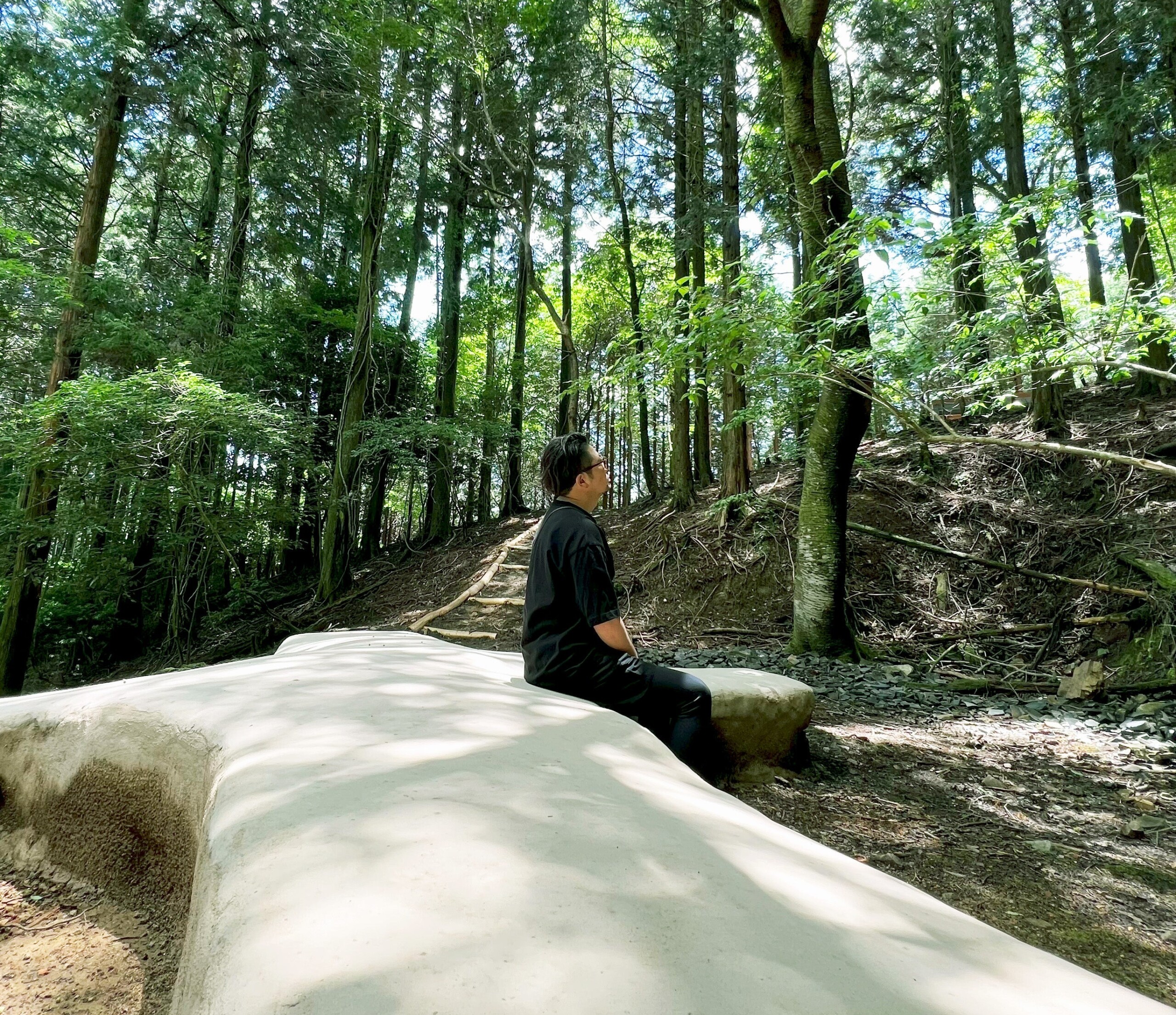 循環葬®︎「RETURN TO NATURE」が森林保全団体「more trees」を通して日本全国の森を育む活動をスタート