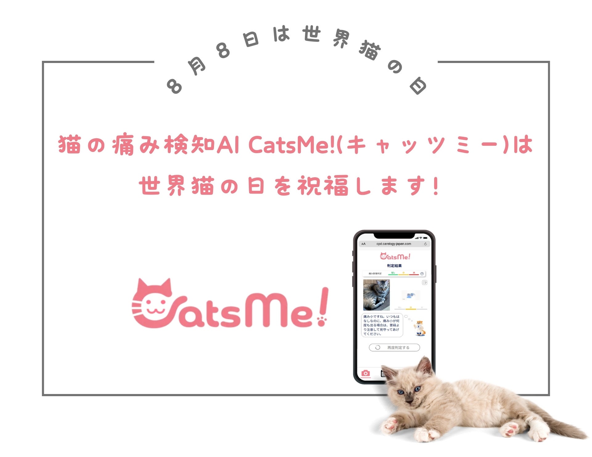 猫の痛み検知AI CatsMe!(キャッツミー)は、"世界猫の日"を祝福します！🐱