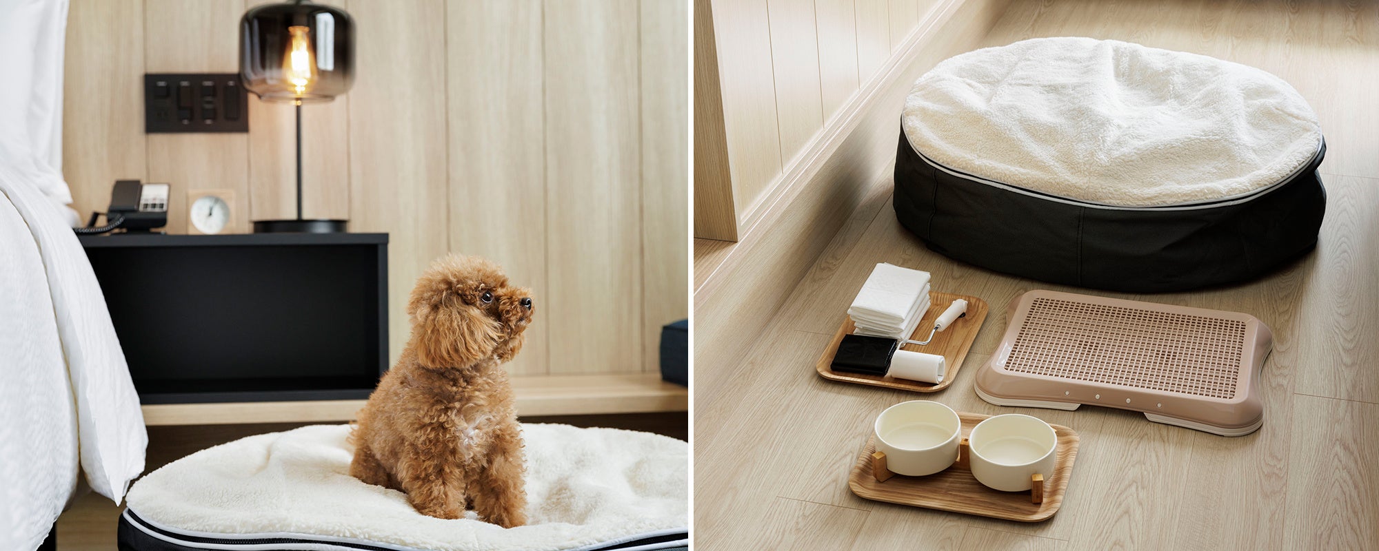 【フェアフィールド・バイ・マリオット 道の駅 プロジェクト】愛⽝と⼀緒に宿泊できる「Dog Friendly Room」...