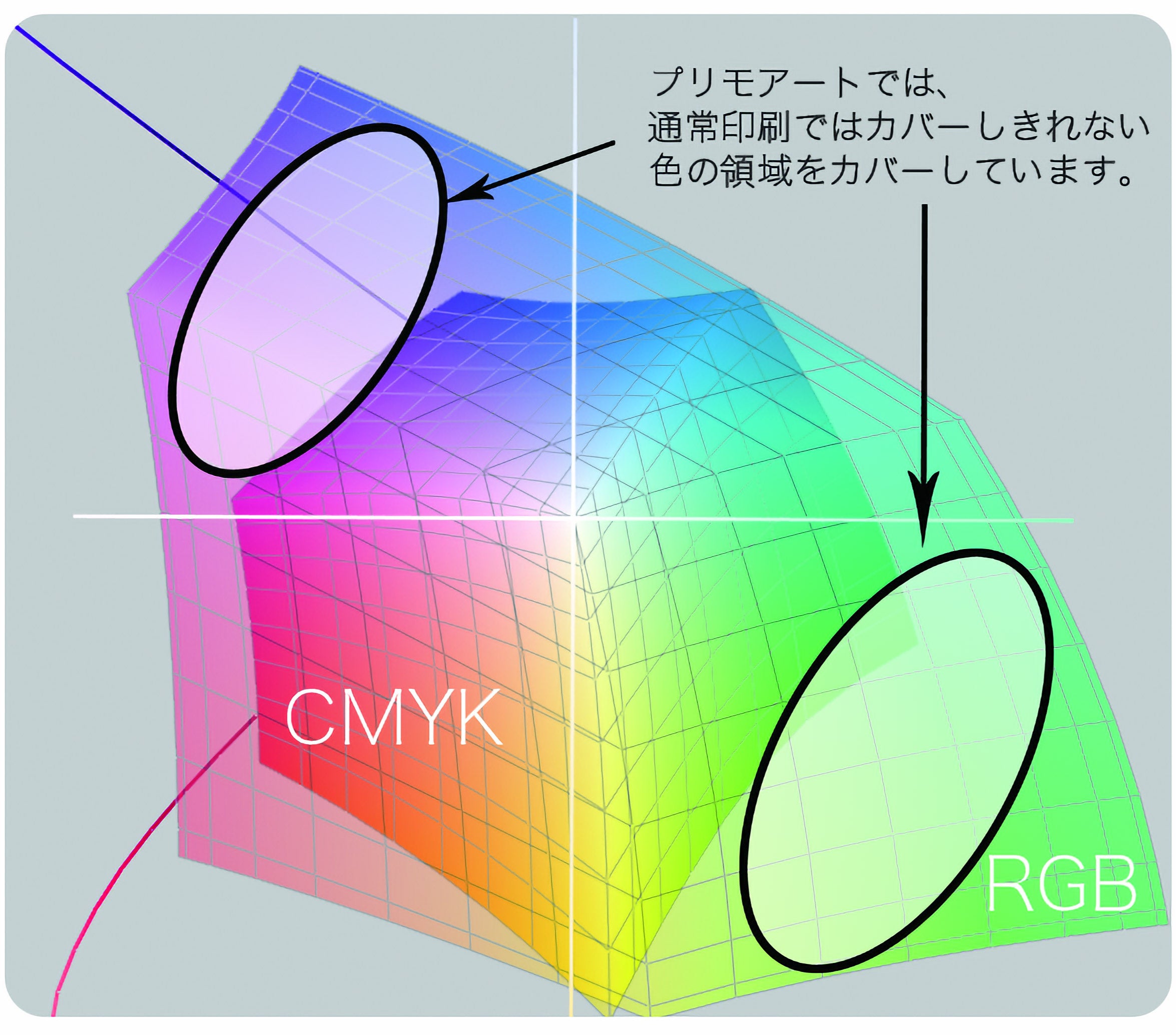 新進気鋭のクリエイターが一堂に集う、最大規模のアートフェス【Creators' World】を開催します！