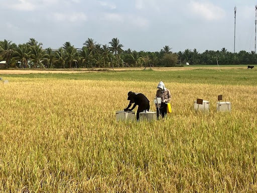 株式会社フェイガー、ベトナム現地法人Faeger Vietnam Co. Ltd.を設立