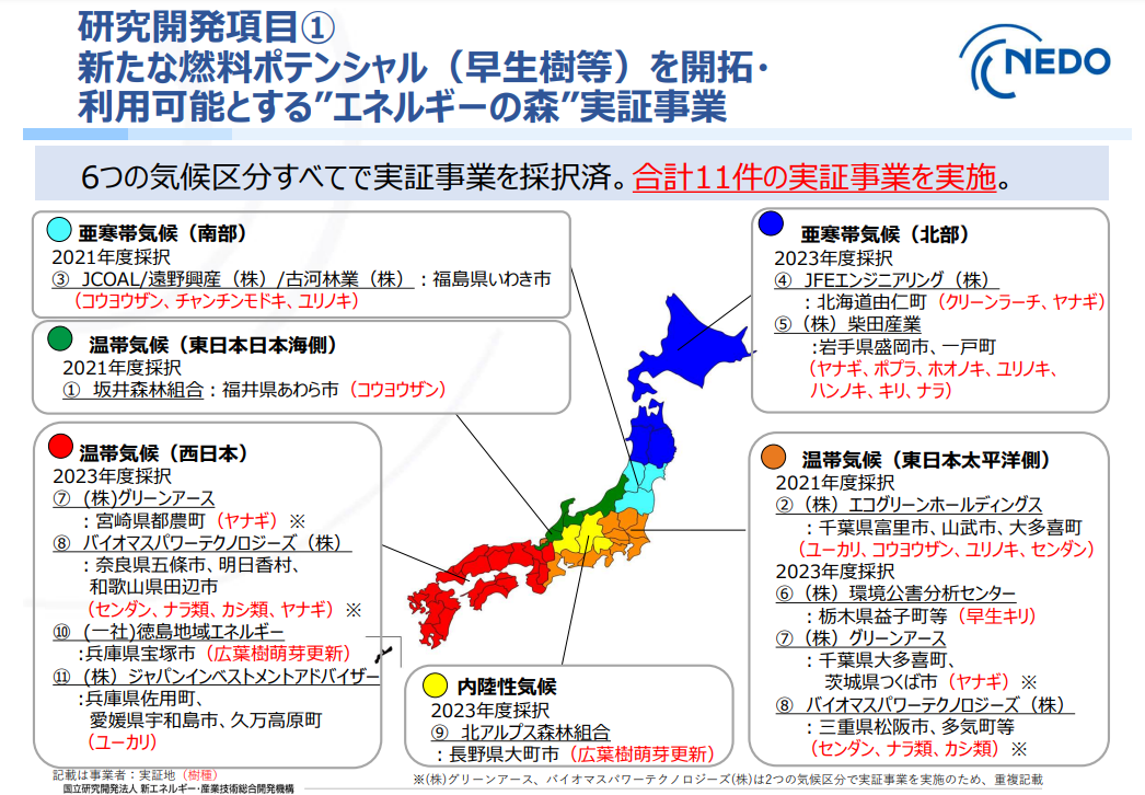 紀伊半島エリア各地でのセンダン・ヤナギ類・ナラ類・カシ類等の育苗～植林～搬出実証本格開始