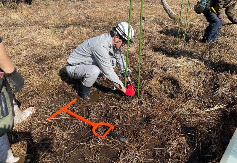 紀伊半島エリア各地でのセンダン・ヤナギ類・ナラ類・カシ類等の育苗～植林～搬出実証本格開始