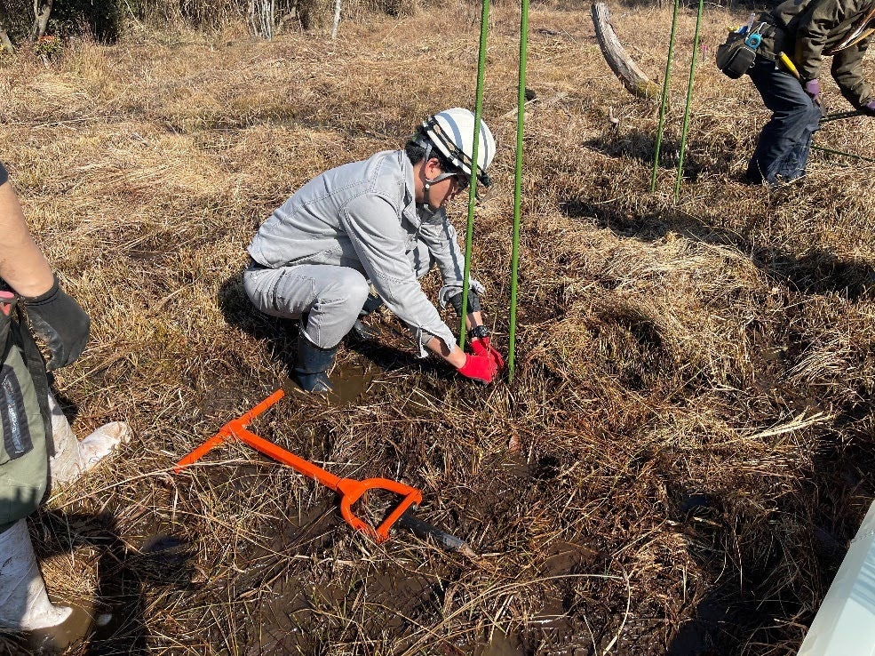 紀伊半島エリア各地でのセンダン・ヤナギ類・ナラ類・カシ類等の育苗～植林～搬出実証本格開始