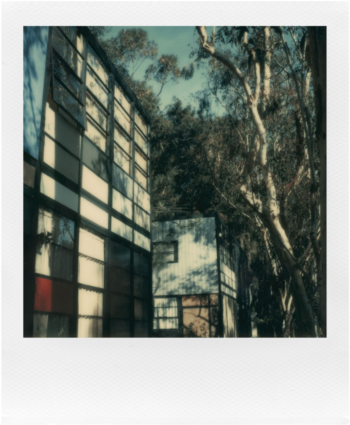 国内販路限定Polaroid× Eames Office