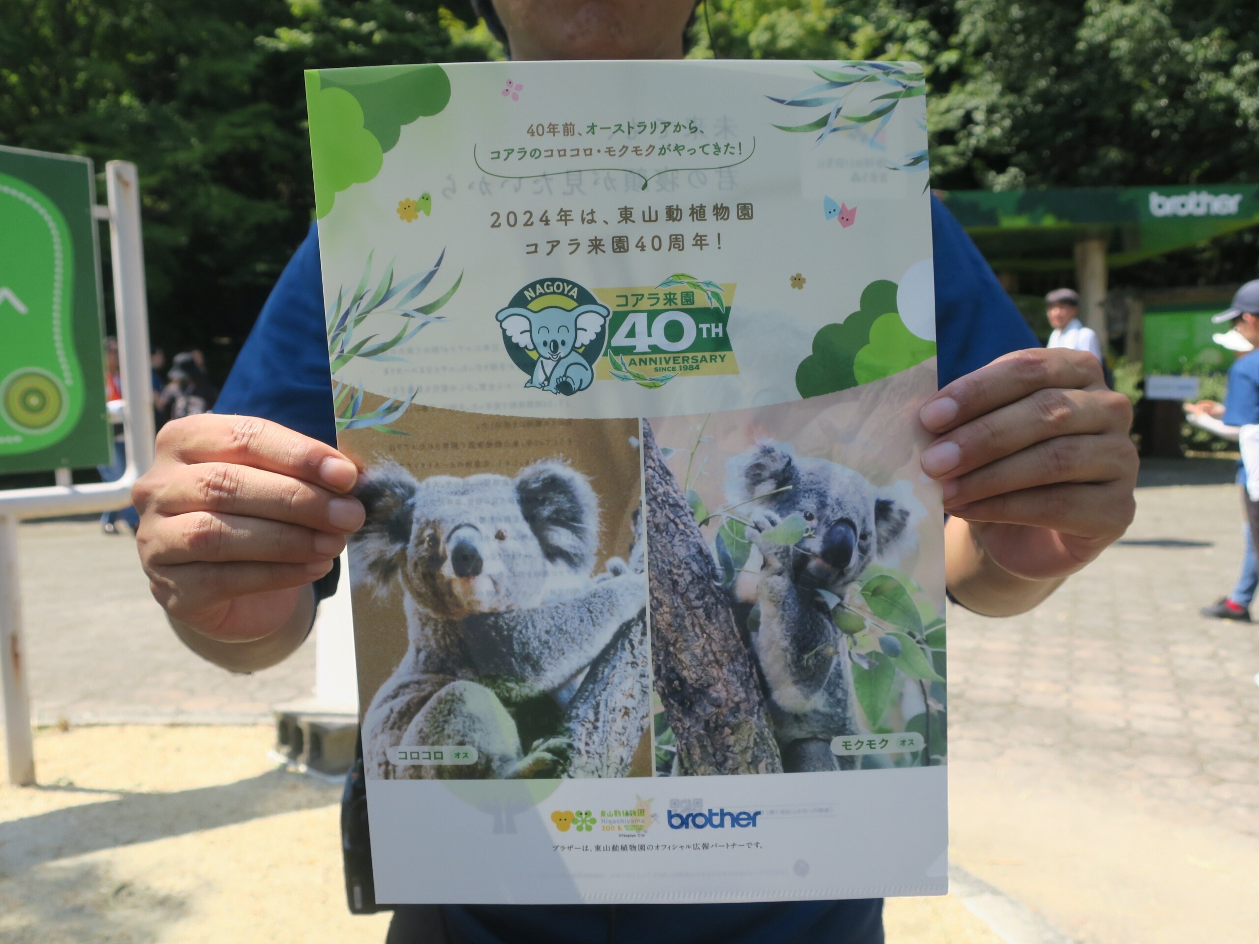 ブラザー、東山動植物園で開催されたコアラの赤ちゃんの命名式に協力