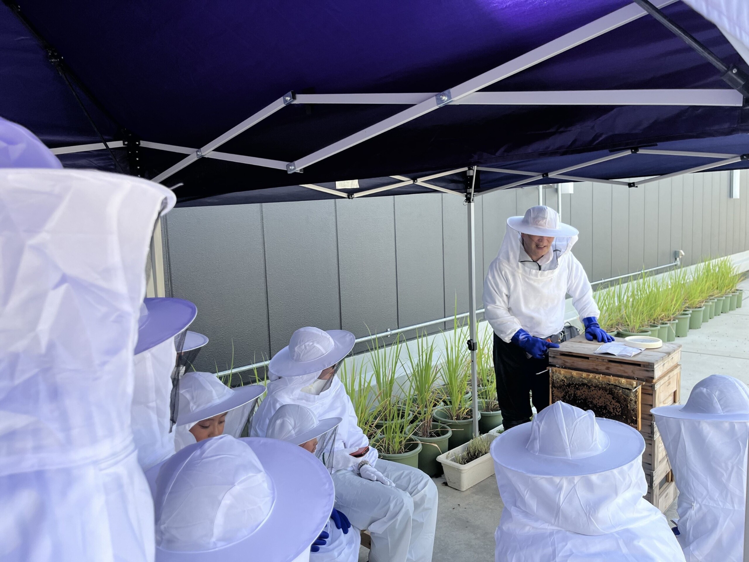 大人も楽しめる自由研究チャレンジ！都市養蜂を体験してみよう