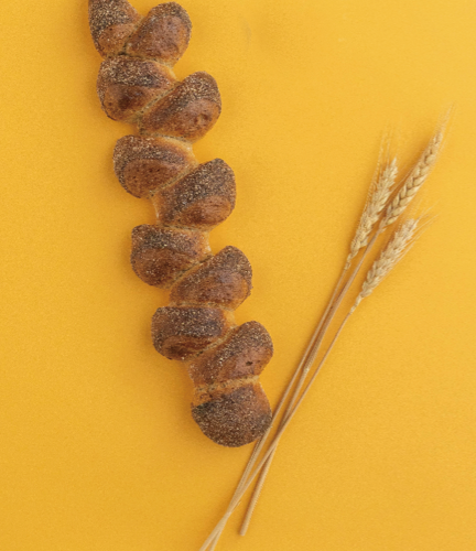 九州産新麦8月10日解禁！麦の形のパン「新麦の穂」をベーカリーが一斉発売！