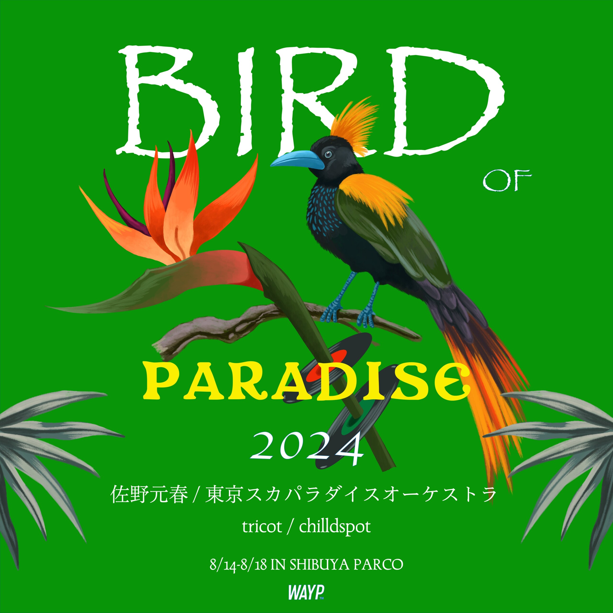 佐野元春、東京スカパラダイスオーケストラ、tricot、chilldspot 4組を迎え架空の音楽フェス「BIRD OF PARADI...