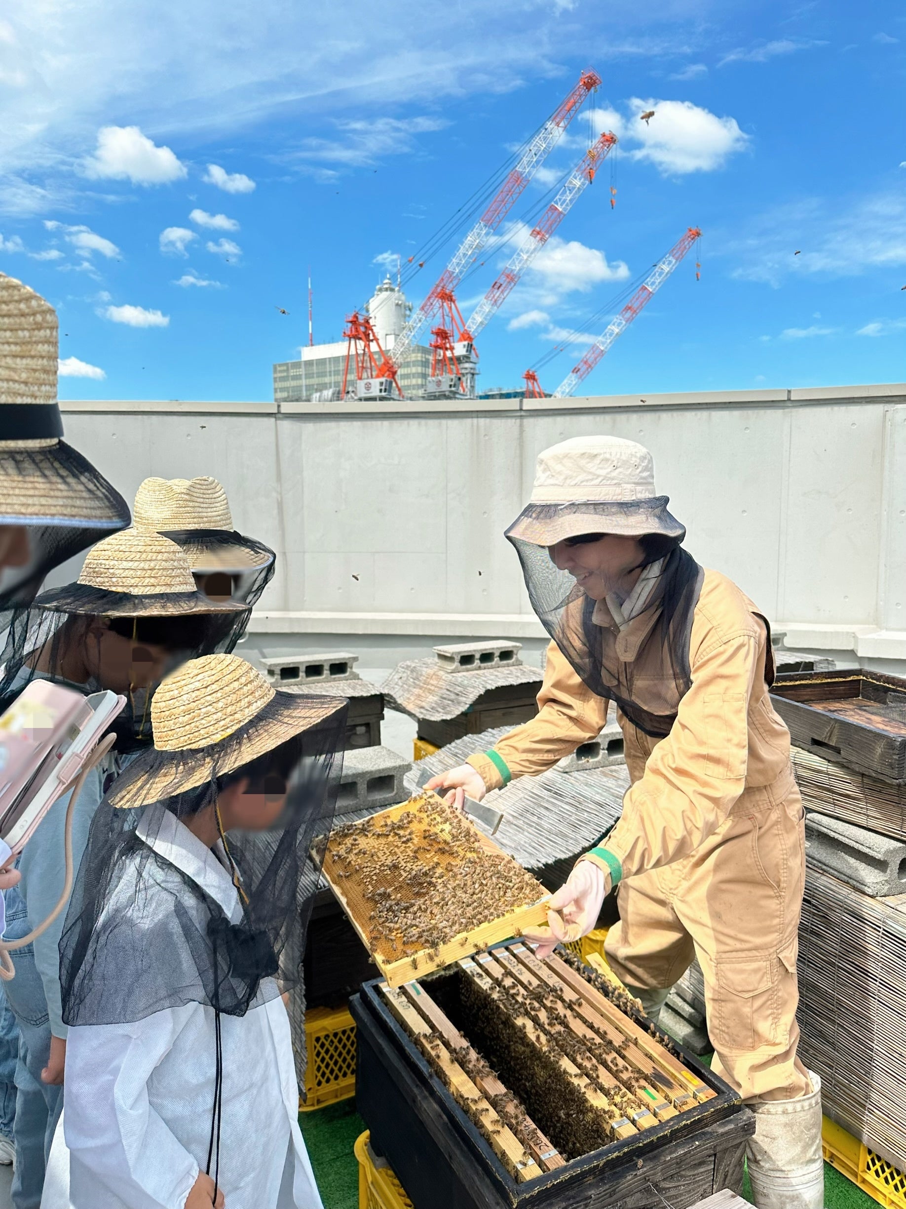 渋谷で養蜂見学体験会！ミツバチの生態を知ろう。子供達と美味しい国産の蜂蜜が出来るまでを学ぶ。