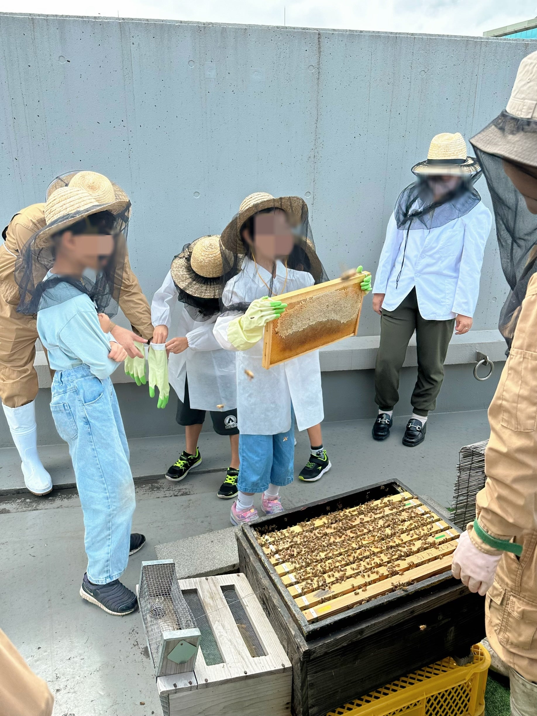 渋谷で養蜂見学体験会！ミツバチの生態を知ろう。子供達と美味しい国産の蜂蜜が出来るまでを学ぶ。