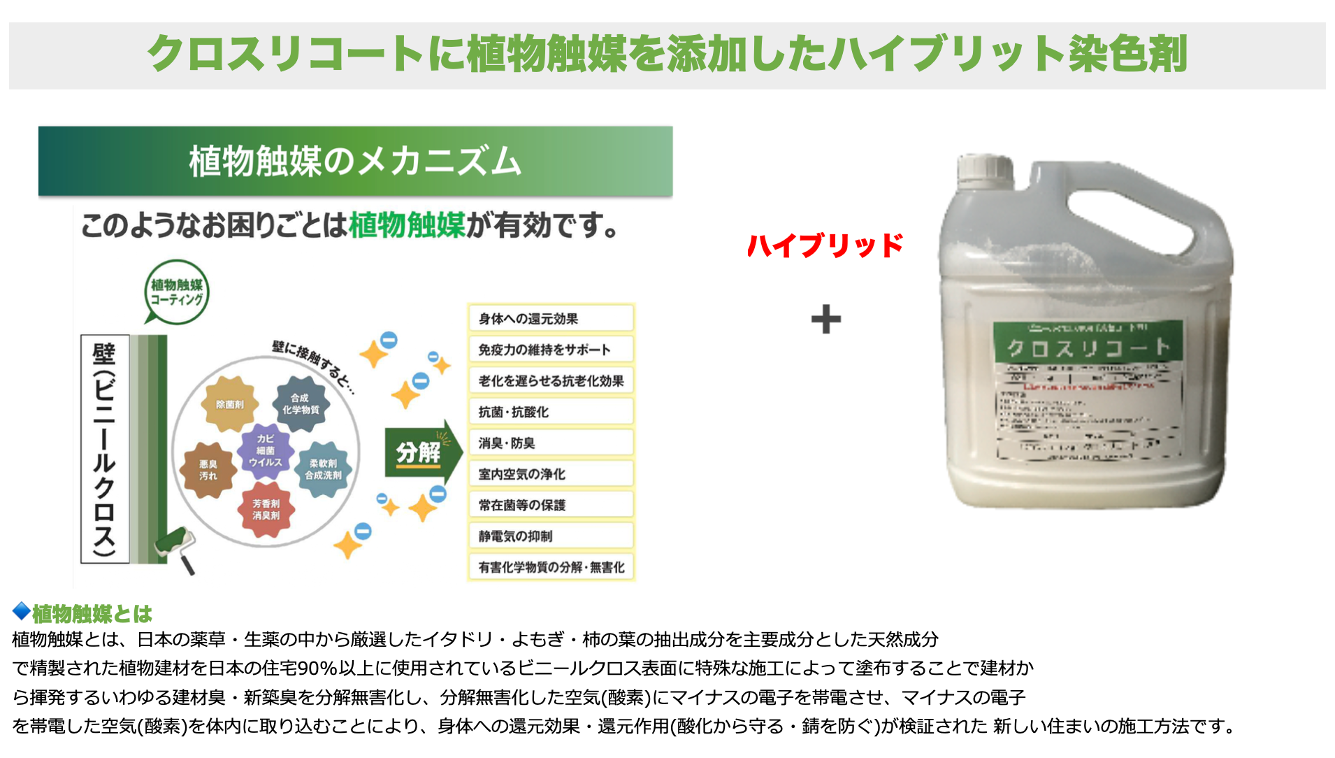 【植物触媒®︎】原状回復のみらいをつくる！染色コート剤と植物素材の融合に成功！化学と植物が創り出す付加価...