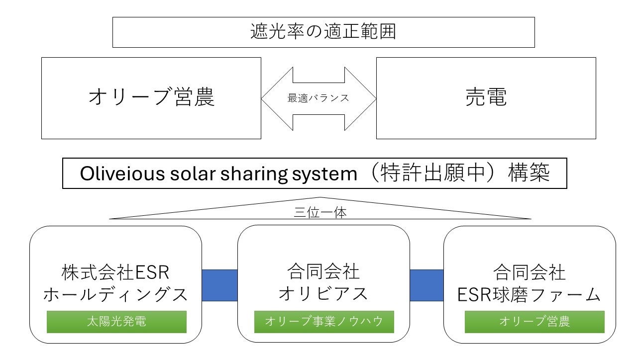 モデル圃場開設　オリーブのソーラーシェアリングシステムを熊本県に設置　国内最大級のシェアリングモデル構...