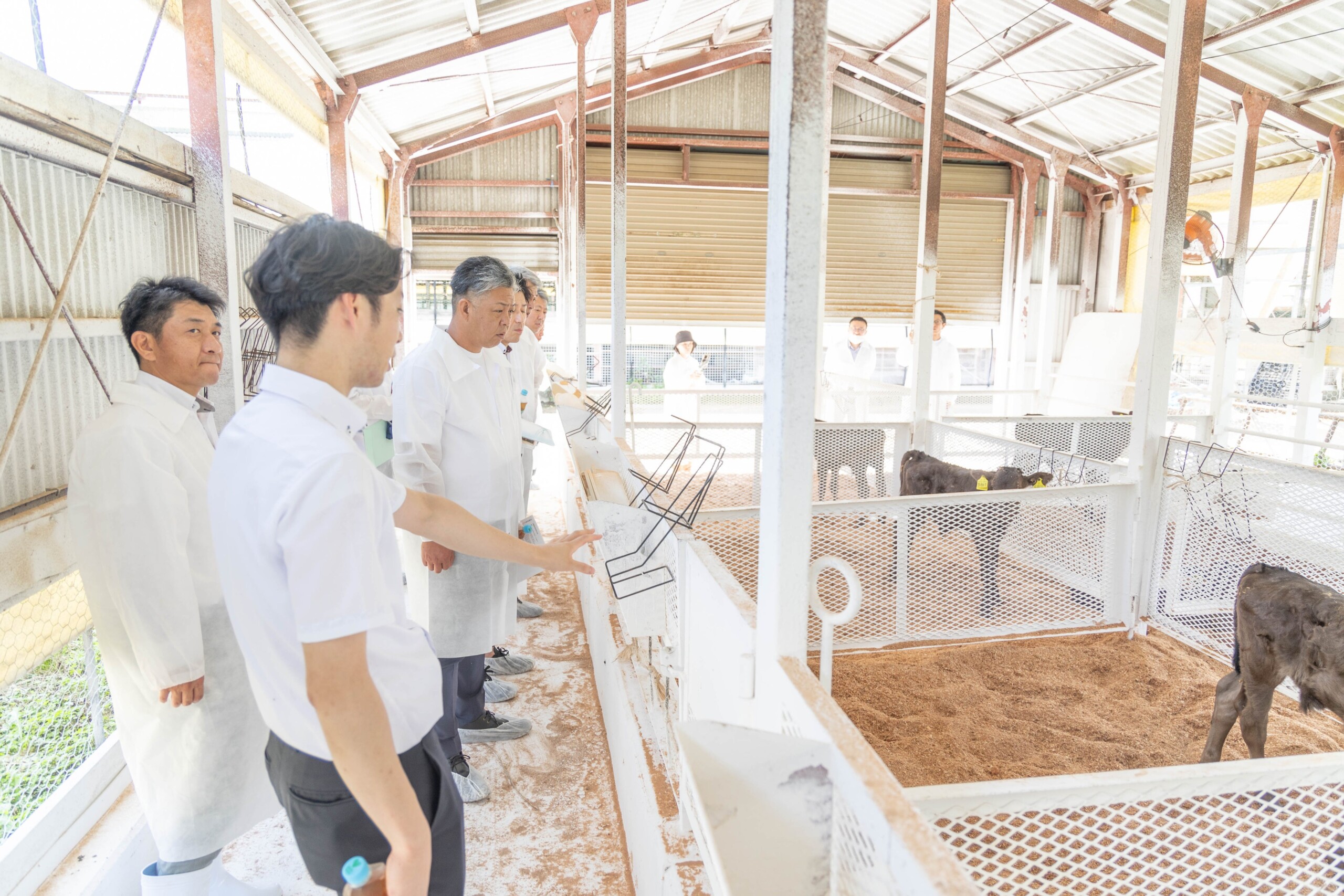 【生まれも育ちも蔵王高原牧場「蔵王牛」を料理長が目利き】料理人が自ら生産者様を訪ねる「ソト活」第9弾を...