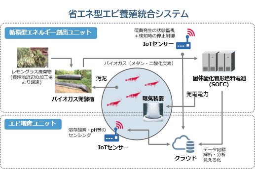 バイオマスを利用した「省エネ型エビ養殖統合システム」をベトナムで本格稼働