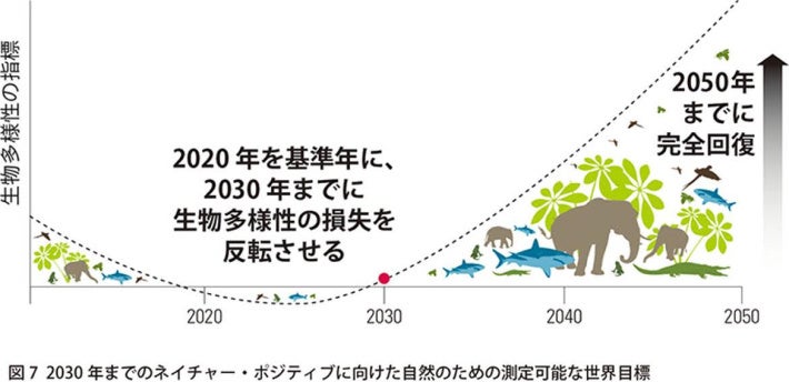 UCC、ネイチャーポジティブに向け本格始動