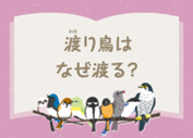 バードコラム「鳥のヒミツをときあかせvol.4」