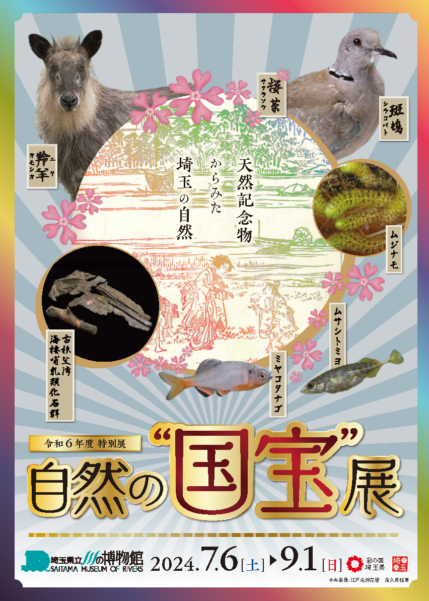 【埼玉県立川の博物館】「特別展『自然の“国宝”展』天然記念物からみた埼玉の自然展」　開催中！