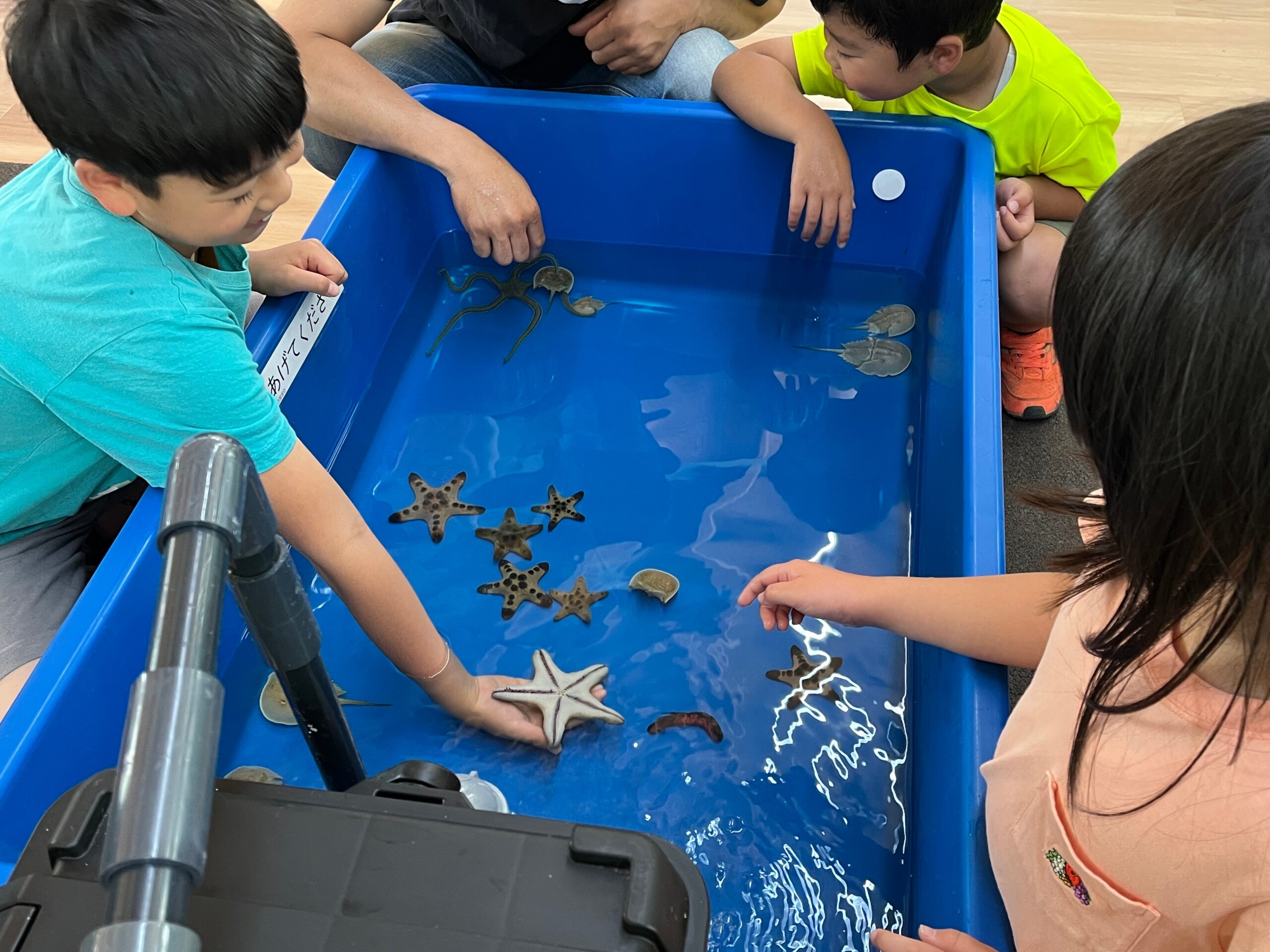 わくわく！ふれあいいどう水族館が来園！