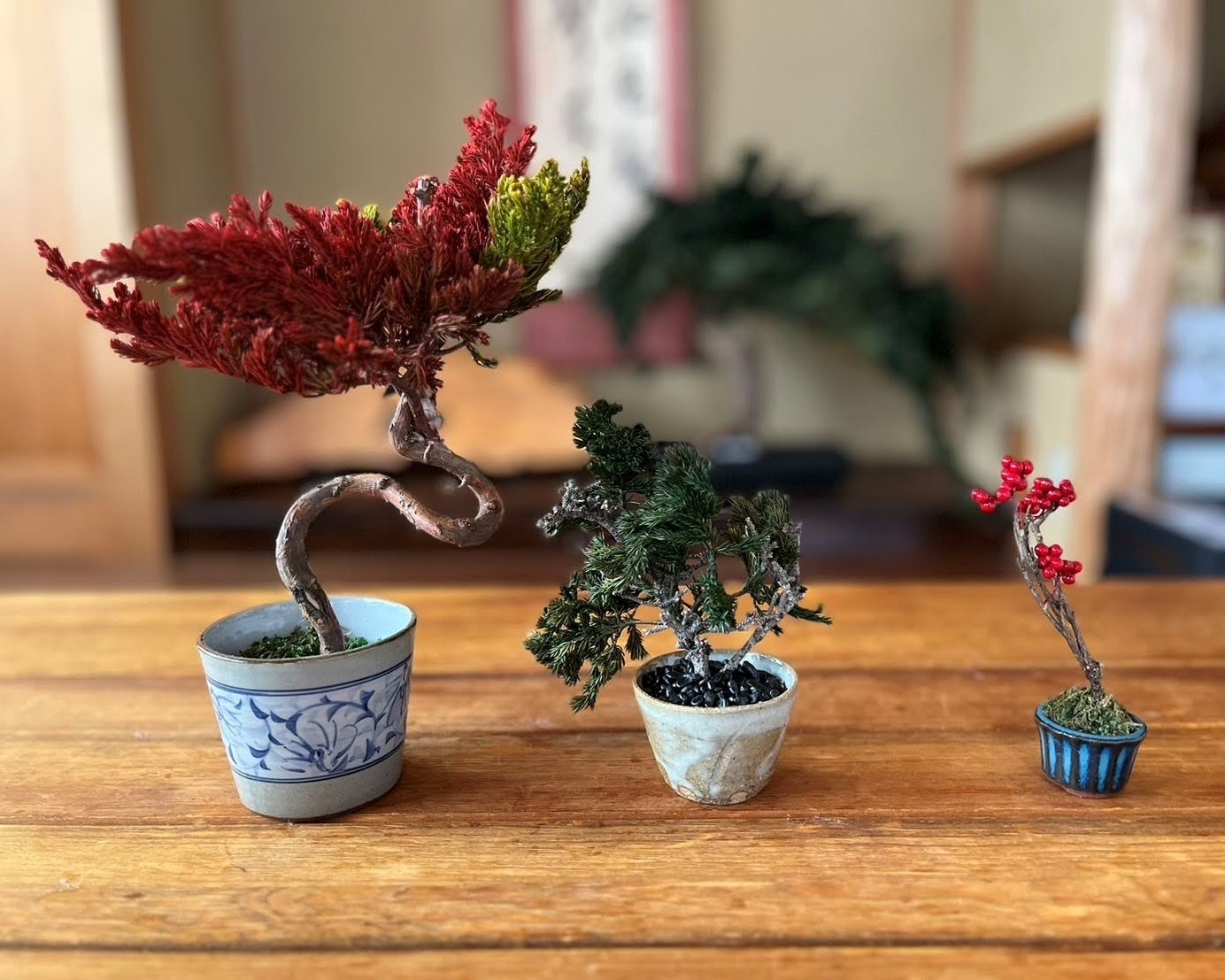 【阪急うめだ本店】初心者から愛好家まで楽しめる盆栽が集結！「BONSAI LIFE～盆栽に恋して～」