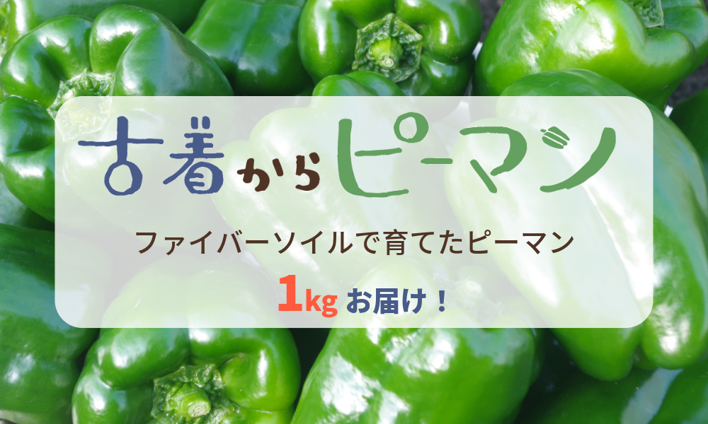 古着が森林を守る！？岡崎市からはじまる循環型社会"地域材でつくる"古着の回収ボックスを設置するため、クラ...