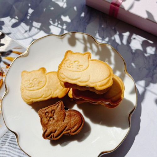 【犬猫モチーフの焼き菓子専門店quatre heures】かわいい犬猫クッキーのグルテンフリーバターサンドボックス...
