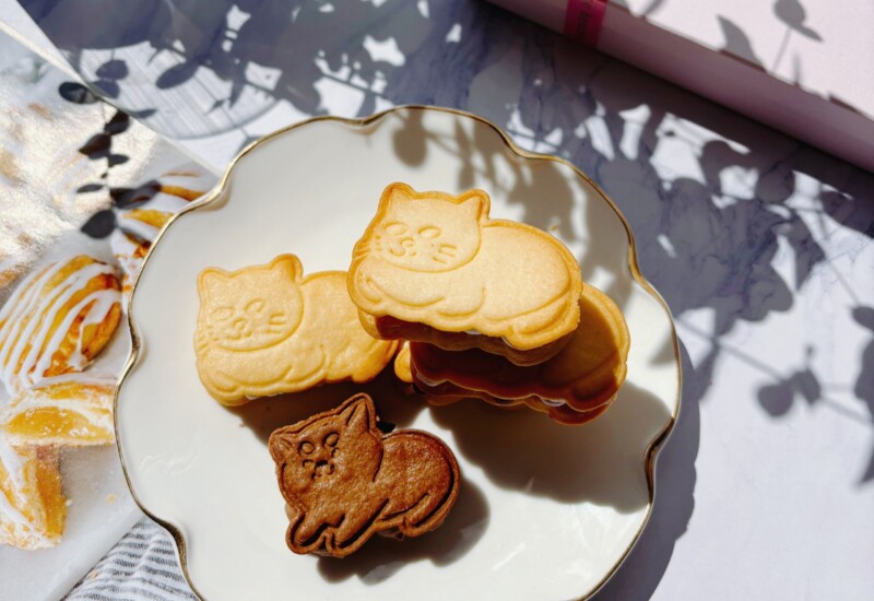 【犬猫モチーフの焼き菓子専門店quatre heures】かわいい犬猫クッキーのグルテンフリーバターサンドボックス...