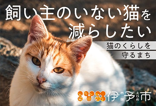 【愛媛県伊予市】残りあと２か月！！『猫のくらしを守るまち』を目指してガバメントクラウドファンディング®...