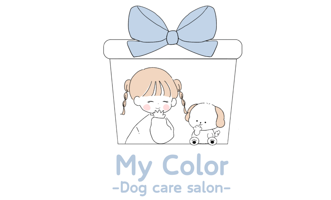 豊橋でトリミングサロン【My Color】のオープンと、オープンキャンペーンのお知らせ