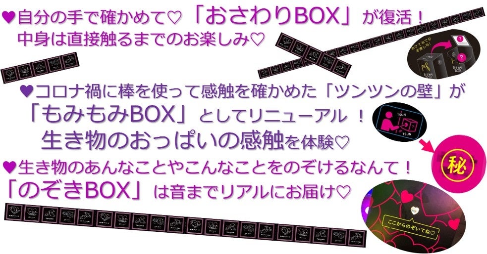 サンシャイン水族館 夜間特別営業「帰ってきた♡性いっぱい展」2024年9月6日（金）～11月4日（月・祝）