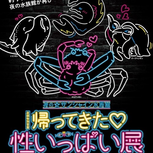 サンシャイン水族館 夜間特別営業「帰ってきた♡性いっぱい展」2024年9月6日（金）～11月4日（月・祝）