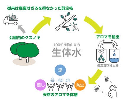 剪定枝をアップサイクルした「生体水(せいたいすい)」の取り組みをスタートします（ニュースリリース）