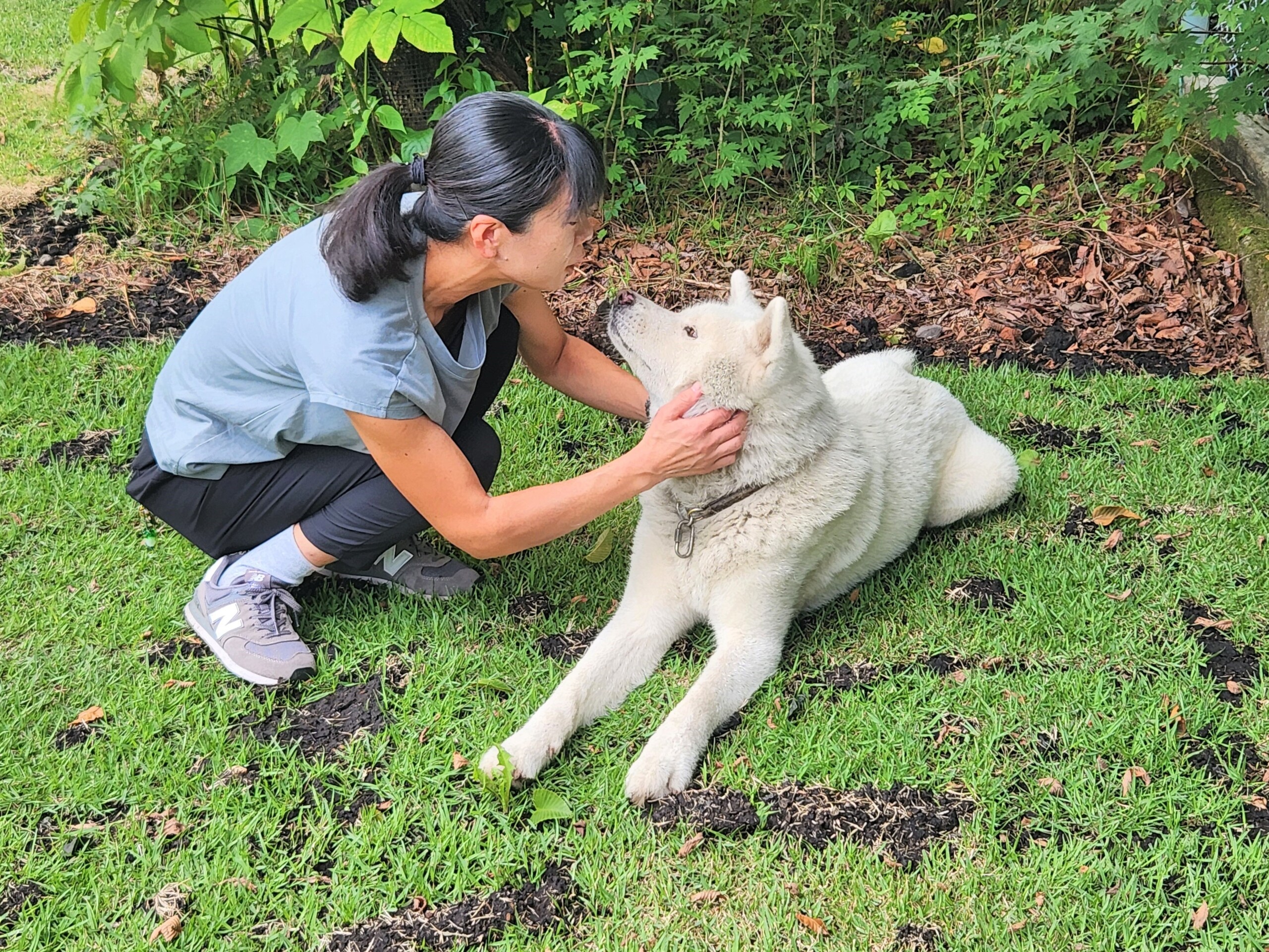 【鬼押出し園】広大な浅間山の裾野に広がる全面芝のドッグラン