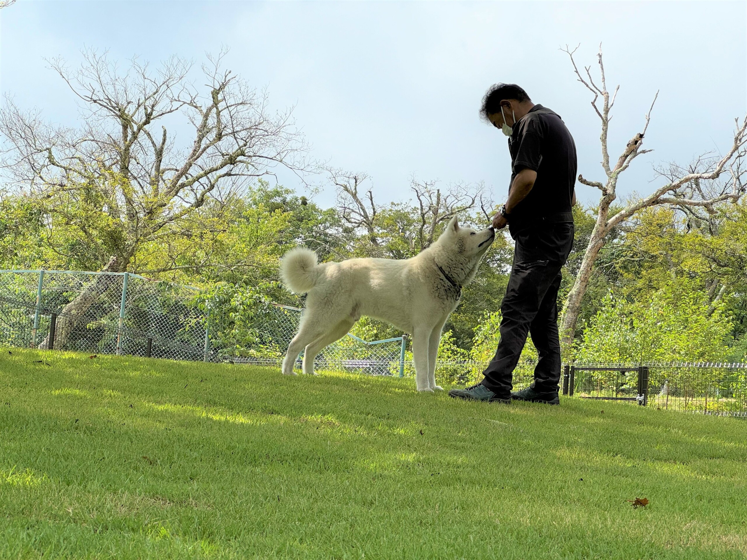 【鬼押出し園】広大な浅間山の裾野に広がる全面芝のドッグラン